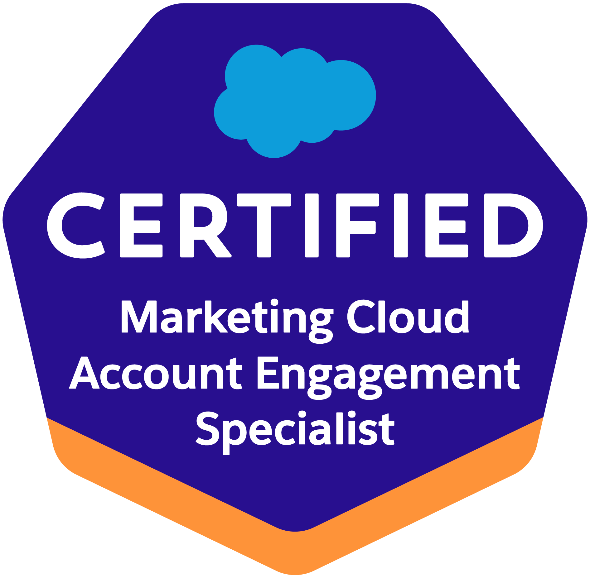 Salesforce Certified Marketing Cloud Engagement Specialist